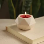 صورة المنتج السابق