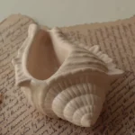 صورة المنتج السابق